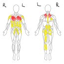 퍼스트짐 신서귀포점 | 서귀포 헬스장 PT, &#34;어깨 통증이 사라지니, 운동이 즐거워졌습니다.&#34;