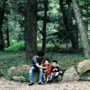 고우농장 이미지