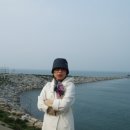 더묵고 이미지