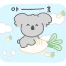 스카이 애견 이미지