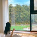 치즈바다 이미지