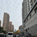 천지관광나이트 | 3박 5일 상하이여행(2)🇨🇳 3일차 (예원, 죽간묵 왕홍체험, 헌저우이치엔 양꼬치, 난징루, RT-mart 따룬파)