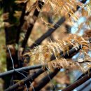 장태산의아침 이미지