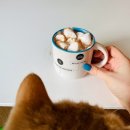 (주)오에스피 이미지