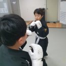 혁신코리안주짓수종합격투기공권유술 | 전주 복싱 공권유술 송천도장 참관후기