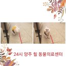 신도중앙센타 네이버블로그