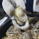 청량리13 이미지