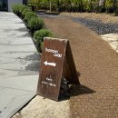 메밀꽃 | 제주도 9월, 10월 가을여행지 추천- 보롬왓 메밀꽃 축제 후기(내돈내산)