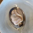 면장인칼국수 | [외식]대부도 삐죽이 백합칼국수 후기/대부도 칼국수 맛집