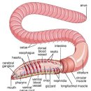 중궁원리 이미지