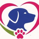 다우리유치원 이미지