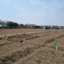 일조농장 이미지