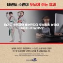 새빛태권도 이미지