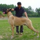 휘가로 호텔 이미지