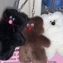 스튜디오미니테일 이미지