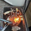 산타모니카애견펜션