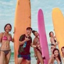 서프너리 이미지