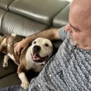 강아지사랑 이미지