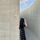 카페보리 이미지