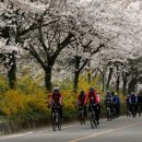 동해마을 이미지