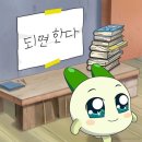 FM  당구장 | 개 강한 9,10월