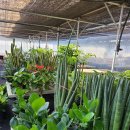 왕우농장 이미지