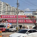 키위디자인광고