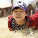 삼장다목적캠핑장 이미지