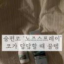 코가 | 숨편코 노즈스프레이👃 사용 후기, 코가 답답할 때 챙기기 좋은 아이템⛱️🍉