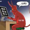 31 이미지