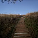 발구덕중간 이미지