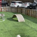 캠핑소리251 이미지