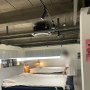 천지소프트 | 허리환자의 베스트슬립 Z11 침대 구매 일주일 찐사용 후기