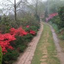 아침농원 이미지