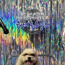 챌린저 당구 카페 이미지