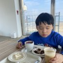 제부도펜션 벚꽃 이미지
