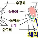 미사늘봄동물병원 이미지