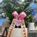 플로라뷰티 이미지