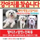 사월1리 이미지