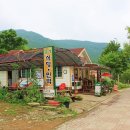 금성민박 이미지