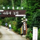 나폴리농원 티스토리