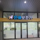 스피츠 | [은해펫] 강아지 맞춤 보조기 은해펫 후기, 14살 스피츠 뽀솜이의 슬개골 탈구 관리