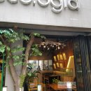 에콜로지아 이미지