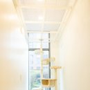 고양이이발관 송도점 이미지