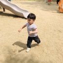 무양공원 놀이터(무양) 이미지