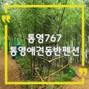 통영767 애견동반펜션 | 통영 애견동반 펜션 통영767
