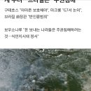 '지구의 허파' 아마존 화재에 전세계 우려…브라질은 "주권침해" 이미지