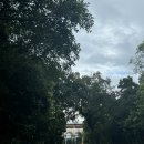 2024.EP. 964. 미국 마이애미 강추 추천 코스 비즈카야 박물관 및 정원 (Vizcaya Museum and Gardens) 1.