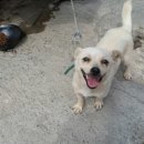 일심세차장 이미지