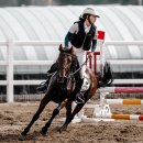 안산승마클럽 이미지